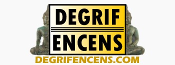 Code promo Degrifencens.com