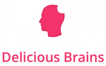 Code promo Delicious Brains