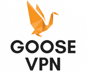 Code promo Goose VPN