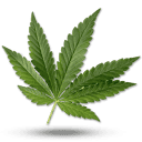 Code promo Lord Of CBD