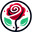 Rose Eternelle La Boutique Codes promotionnels