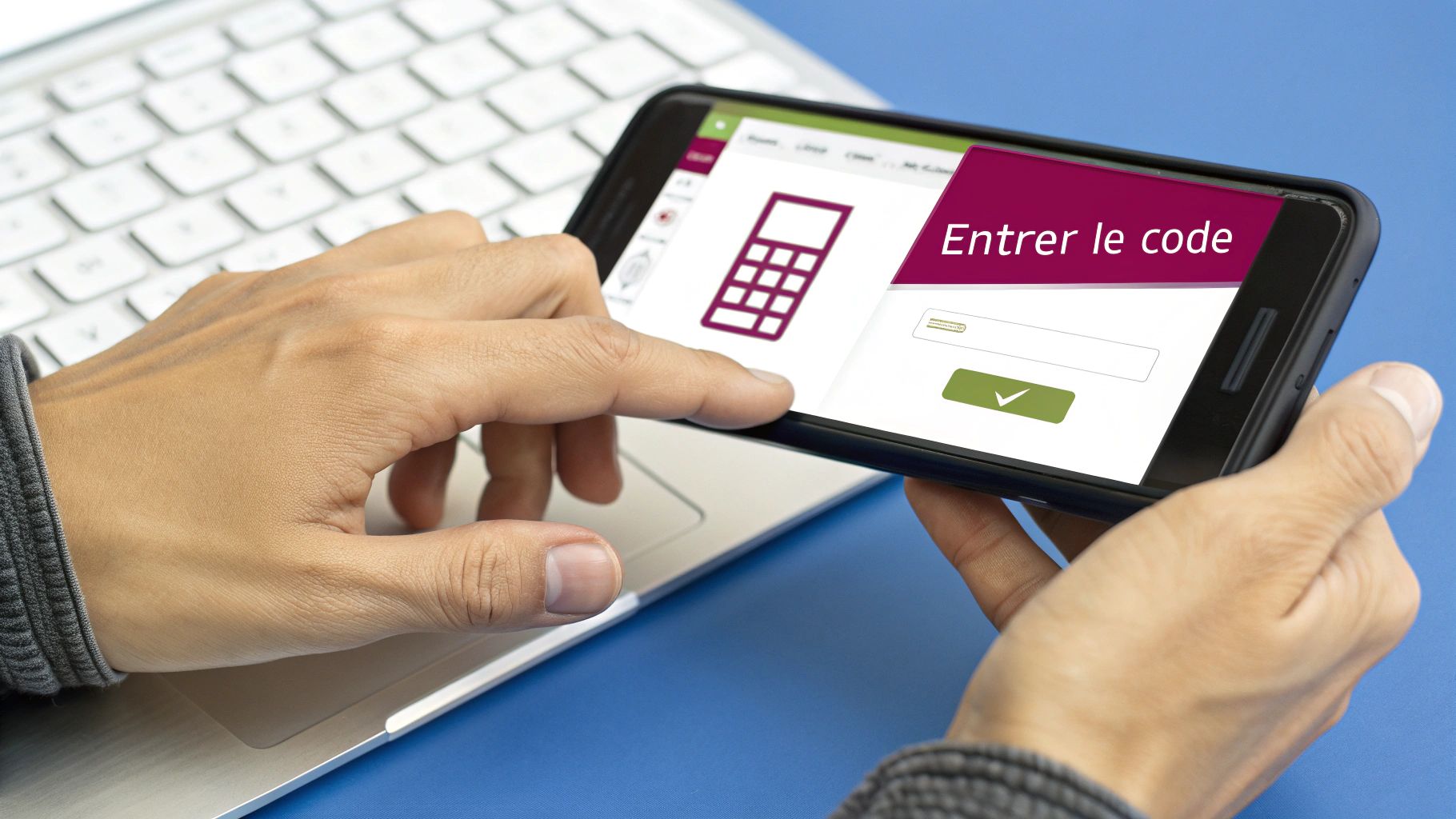 Screenshot from https://www.graindemalice.fr/panier